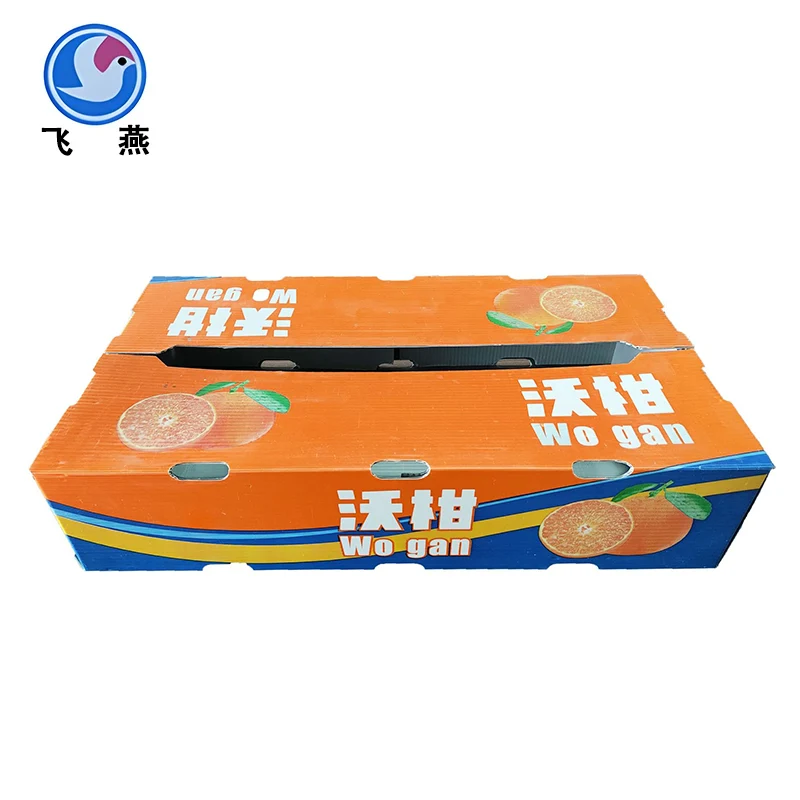 Fruit calcium plastic turnover box: a powerful assistant for extending shelf life