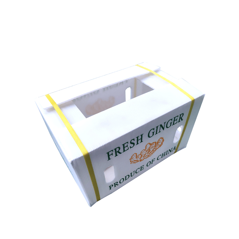 How to choose fruit transfer boxes?