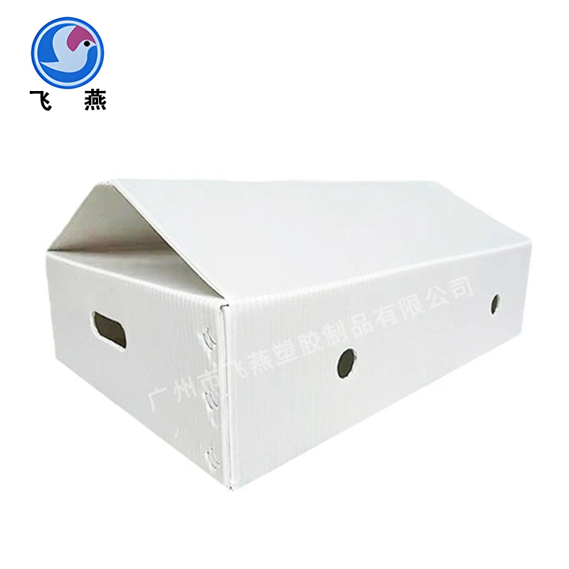 Green Plant PE Hollow Board Turnover Box
