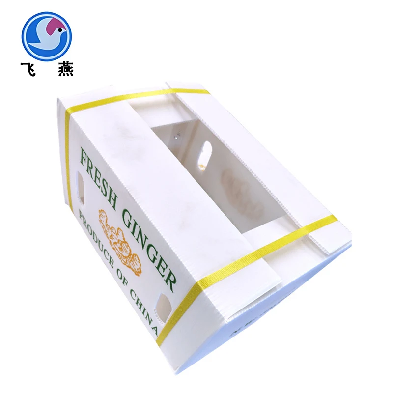Persimmon Calcium Plastic Turnover Box