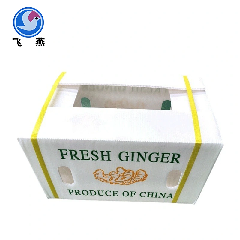PP Vegetable Fresh-keeping Box